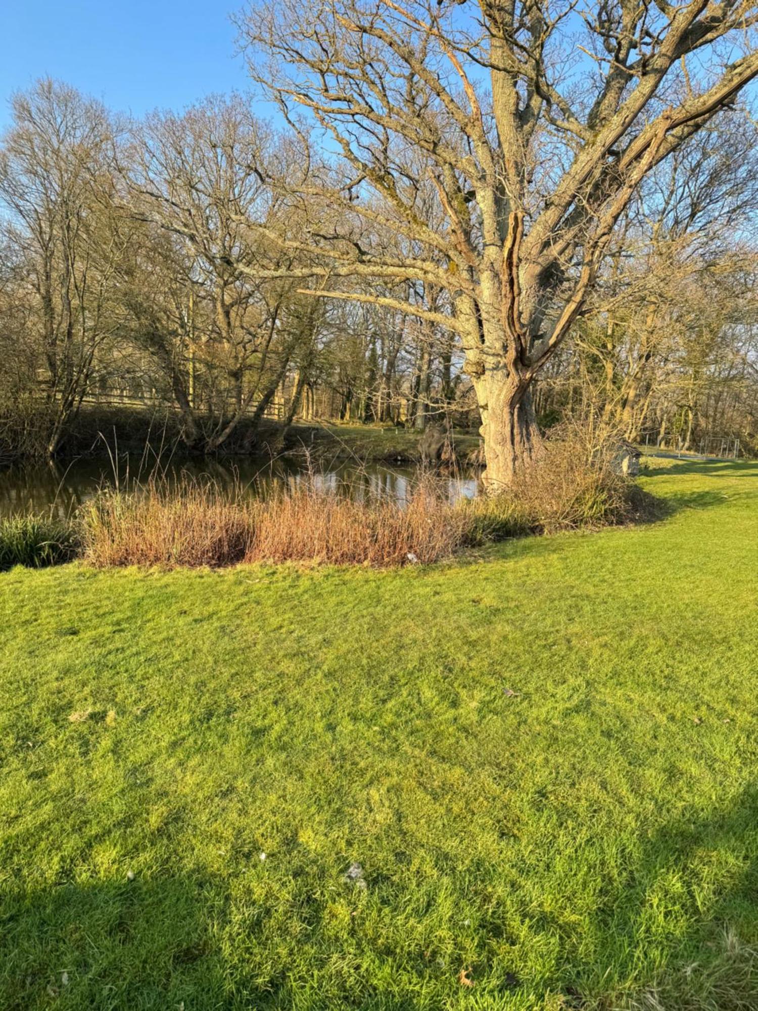 Waters Edge Apartment Rolvenden Exterior foto
